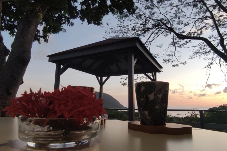 Le jardin au soleil couchant